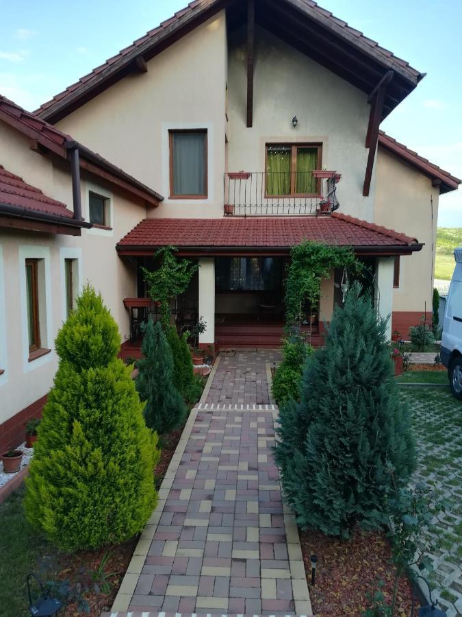 Casa Doina Appartement Băile Felix Buitenkant foto