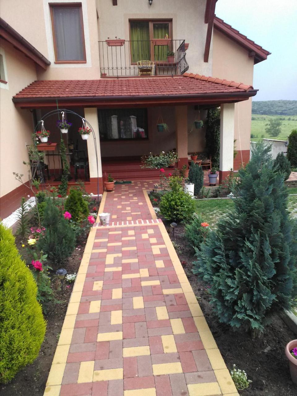 Casa Doina Appartement Băile Felix Buitenkant foto